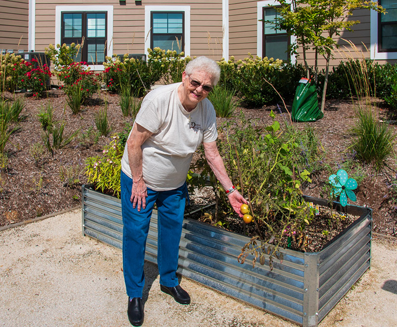 Wesley Housing Development About Impact Background Woman Gardening
